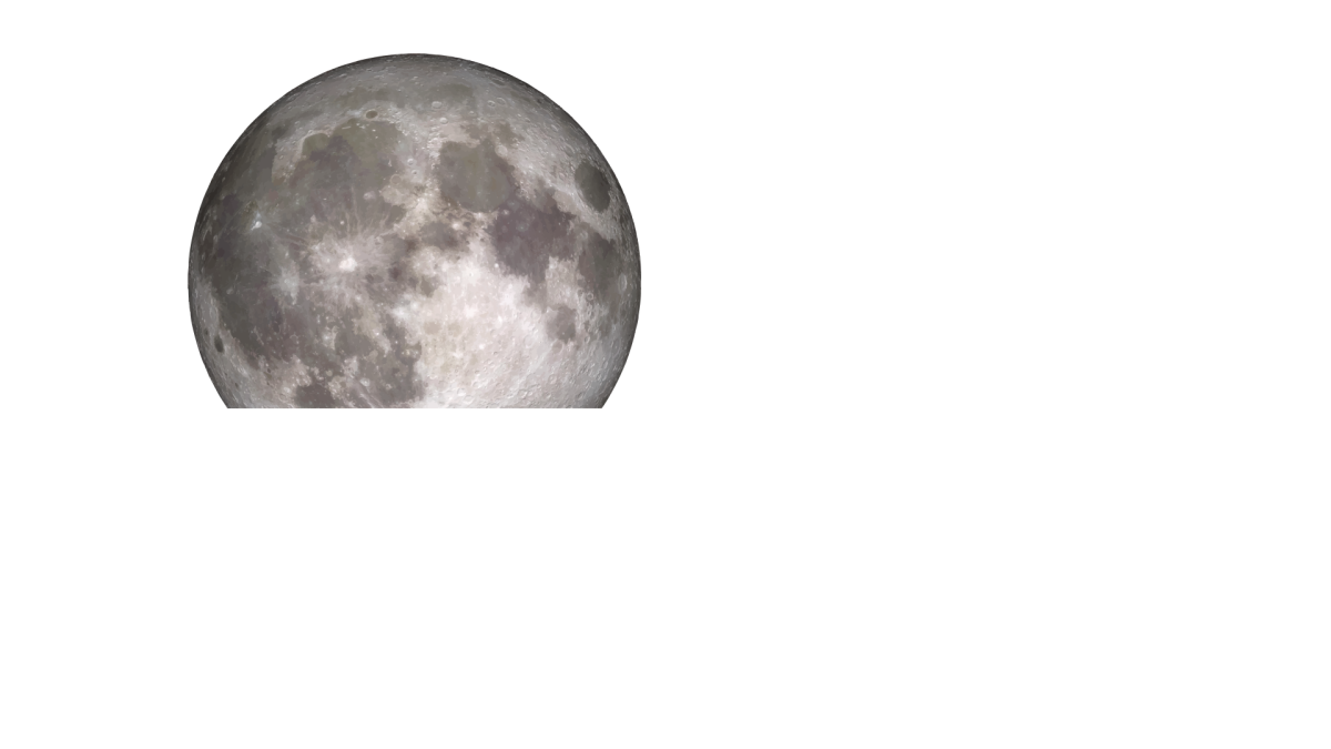 mf25_Logo_weiss